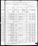1880 US Census (Liberty, Montour, Pennsylvania)