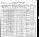 1900 US Census (Chicago, Cook, Illinois)