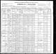 1900 US Census (Danville, Montour, Pennsylvania)