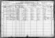 1920 US Census (Cordova, Walker, Alabama)