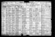 1920 US Census (Chicago, Cook, Illinois)