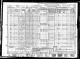 1940 United States Federal Census(67).jpg