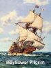 Mayflower Pilgrim